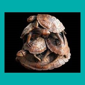 Japanische Schildkröten