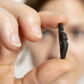 Urformen - Eiszeitkunst Europas