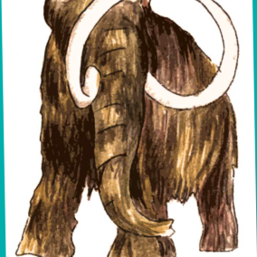 Archäologisches Museum Colombischlössle