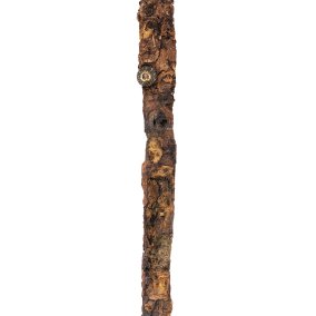 Archäologisches Museum Colombischlössle