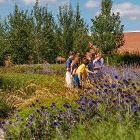 2022 Oudolf Garden Führung. Photo: Bettina Matthiessen @ Vitra 2022 Oudolf Garden Führung. Photo: Bettina Matthiessen @ Vitra