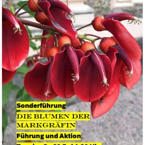 Blumen in Schloss Favorite