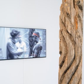 Dhulu, Baumstamm der Kamilaroi Gemeinschaft der Aboriginies