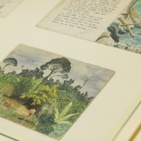 Tagebucheintrag von Bruno Manser mit Zeichnung (Selbstportrait vor Regenwald) Tagebucheintrag von Bruno Manser mit Zeichnung (Selbstportrait vor Regenwald)