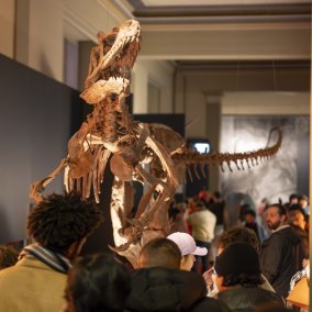 Dinosaurierskelett im Naturhistorischen Museum Basel (c) Jeton Shali