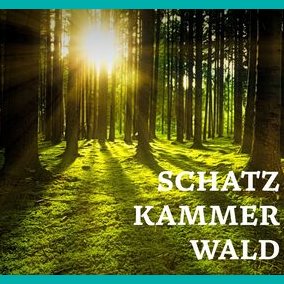 Schatzkammer Wald 