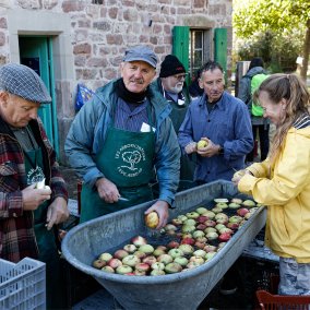 Les arboriculteurs de l'Écomusée d'Alsace lavent les pommes des vergers avant le pressage du jus