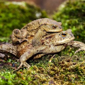Vernissage: Neue Naturschätze im «Wilden Baselbiet»
