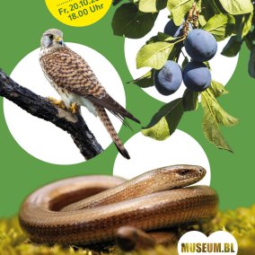 Neue Naturschätze Neue Naturschätze