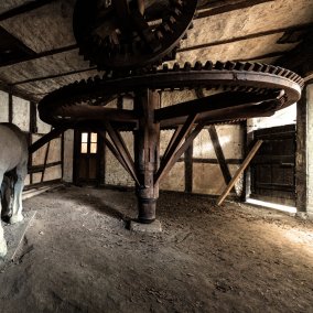 Das Göpelwerk = Zahnradsystem welches die Mühle mit Pferdekraft antreibt und Pferdeskulptur