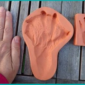 menschliche Hand im Vergleich zu Tierpfotenabdrücken in Ton