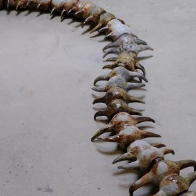 Aëla Maï Cabel und Jérémy Piningre, ohne Titel, 2025, Keramik glasiert Foto: Aëla Maï Cabel und Jérémy Piningre