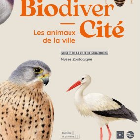 Affiche de l'exposition