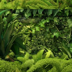 Führung Aargauer Kuratorium Timo Ullmann (*1987), Greenscreen, 2023<br>Video 4K auf 50'' Bildschirm, 12 min<br>© Timo Ullmann