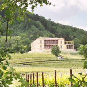 Schloss Villa Ludwigshöhe