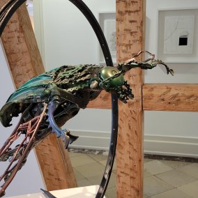 Cetonia Bicycle Aurata, 2025