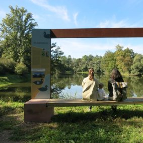 eine Sitzbank mit Infotafel und Rahmen mit Blick in die Rheinauen, auf Bäume und Wasser