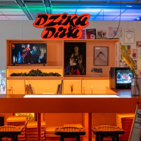 Ausstellungsansicht DZiKADiVA