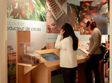 Découverte de nos plantations de cacaoyers en Equateur