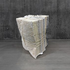 Takaya Fujii, Saltbooks