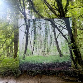 TotolehibeMaeva-05-Spectre Spectre est une installation photographique, créer à l’occasion de l’événement artistique Back to the Trees. Elle est destinée à être installé régulièrement au même endroit.