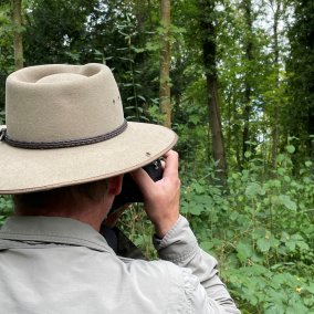 Heidespaziergang «Waldeindrücke»