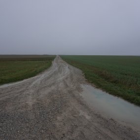 Sébastien Roux, Les Disparitions