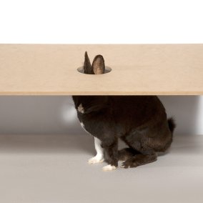 Sigurdur Arni Sigurdsson, Diplomatie, 1996. Collection Frac Franche-Comté © Sigurdur Arni Sigurdsson