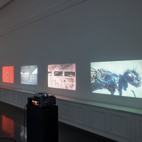 Ausstellungsansicht, Stefan Bertalan: I have lived with a sunflower for 130 days, Badischer Kunstverein 2025, Felix Grünschloß