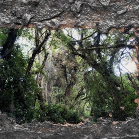 Die Sprache der Pflanzen, Experimentelles Rollenspiel (LARP) mit Roman Schramm