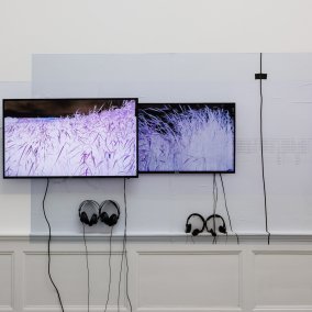 Ausstellungsansicht, Anna Barham: delirious mantra, Badischer Kunstverein, Karlsruhe 2026, Foto: Felix Grünschloß