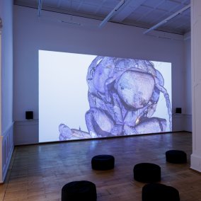 Ausstellungsansicht, Anna Barham: delirious mantra, Badischer Kunstverein, Karlsruhe 2026, Foto: Felix Grünschloß