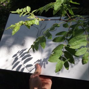 Begegnung mit Pflanzen und Bildern für einen Tag, Workshop mit Tobias Kraft