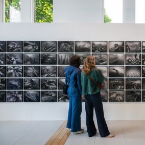 Nicolas Floc'h, Structure productive, Kikaijima, Japon, 2017 Photographie I Production Fondation Tara Océan - Tara Pacific I © ADAGP, Paris, 2026