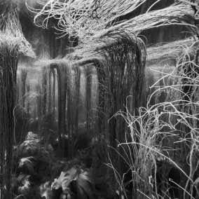 © Nicolas Floc’h, Paysages productifs - Initium Maris, île de Molène, - 4 mètres, 2019 I © ADAGP, Paris, 2026