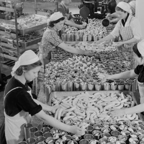 Arbeiterinnen und Arbeiter der Bell AG verpacken Würste in Konservendosen, 1939. Foto: Lothar Jeck. Staatsarchiv Basel-Stadt, BSL 1060c 3/3/405