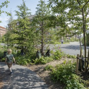 Sankt Kjelds Plads Kopenhagen: Mehr Grün am Verkehrskontenpunkt. Foto: Mikkel Eye