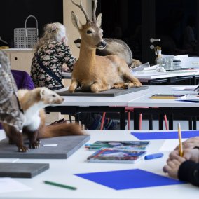 Tierzeichnen am Abend