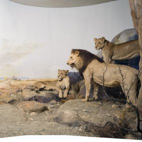 LoewenDiorama2