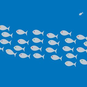 Symbolbild Rahmenprogramm Silber-Schwarm