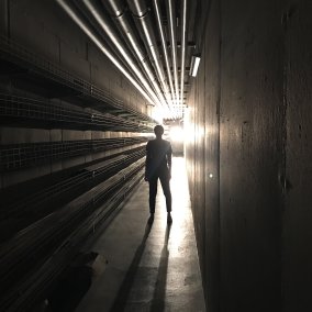 Die Silhouette einer Person in einem langen dunklen Flur