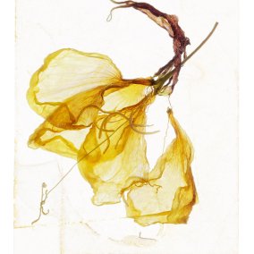 Brigitte Lustenberger I can hear the deep rasp of your laughter, 2023 Archival pigment print © Brigitte Lustenberger / 2026, ProLitteris, Zurich 