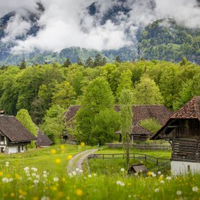 Internationaler Museumstag