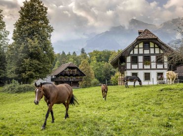 Über 100 historische Gebäude, zahlreiche Handwerke und über 200 Bauernhoftiere können im Freilichtmuseum Ballenberg entdeckt werden.