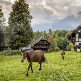 Ballenberg, Freilichtmuseum der Schweiz Über 100 historische Gebäude, zahlreiche Handwerke und über 200 Bauernhoftiere können im Freilichtmuseum Ballenberg entdeckt werden.
