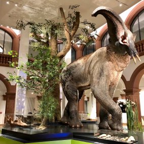 Das Deinotherium gigantum im Foyer des nhms.