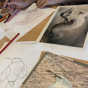 Personnages magiques ou féériques - Atelier de dessin ©Château du Haut-Koenigsbourg Personnages magiques ou féériques - Atelier de dessin ©Château du Haut-Koenigsbourg