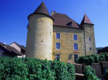 Musée de la vigne et du vin du Jura 