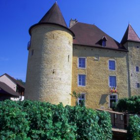 Le Musée de la vigne et du vin du Jura est installé dans le Château Pécauld