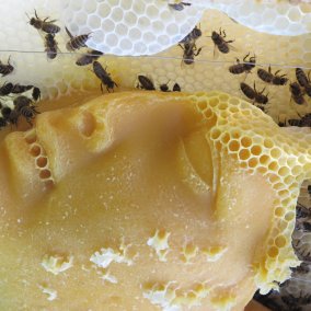 Bärbel Rothhaar, Aphrodite, 2003, Foto: Bärbel Rothhaar